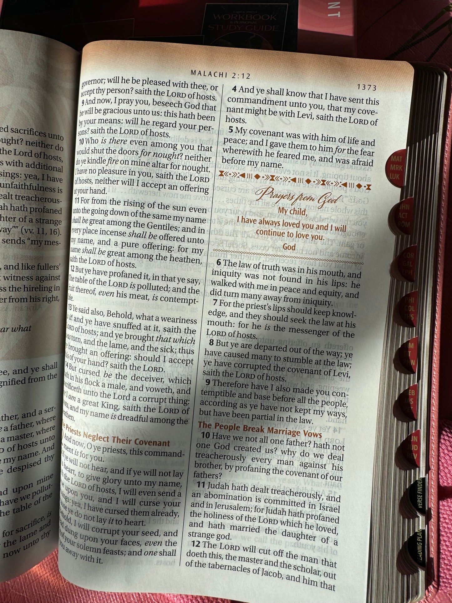 The New Women of Color Study Bible - Purple